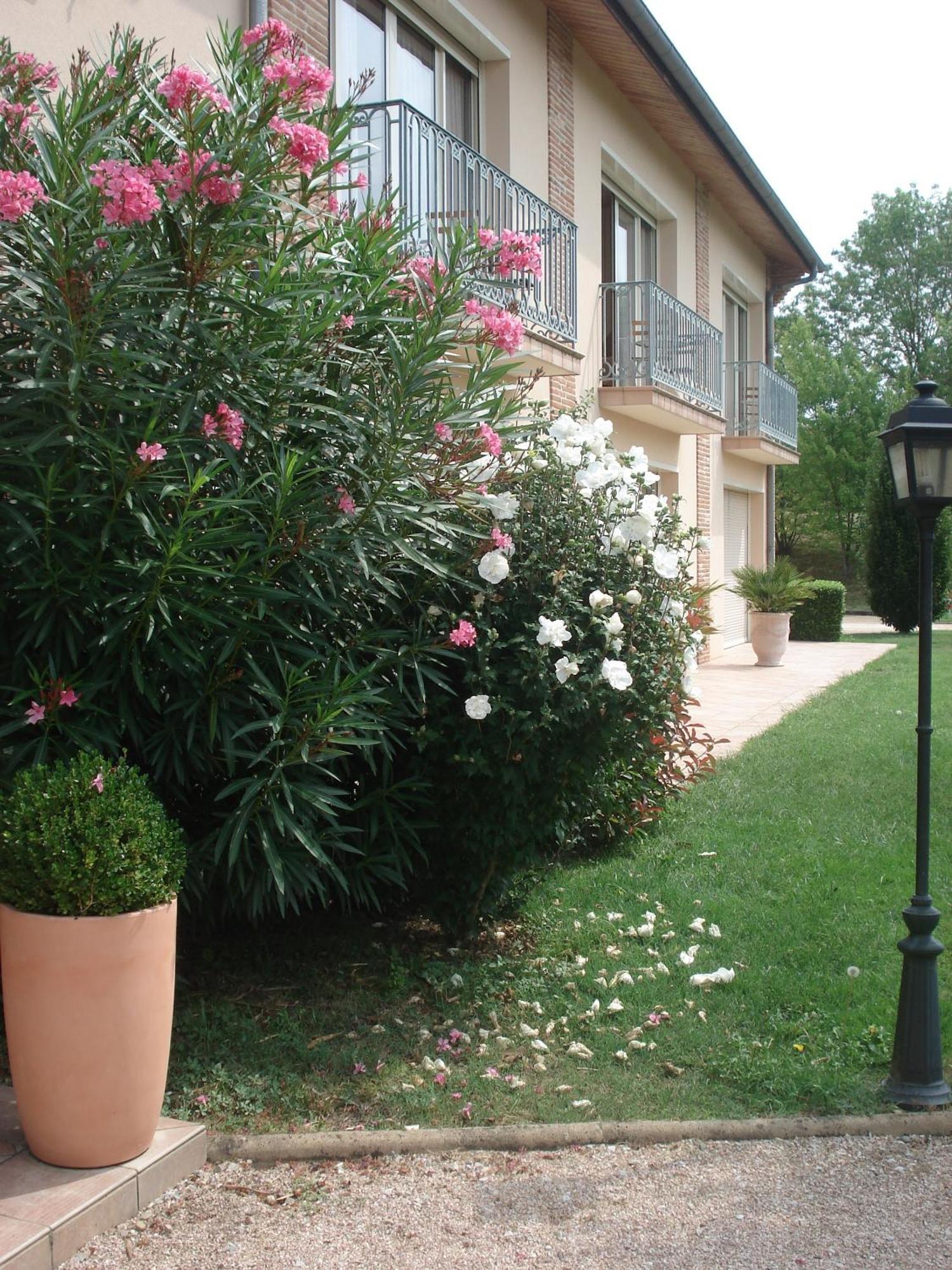 Готель L'Oustal Du Lauragais Labastide-Beauvoir Екстер'єр фото